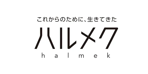 Halmek Holdings Co.,Ltd.