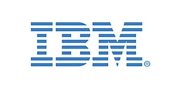 IBM Japan Digital Services Company